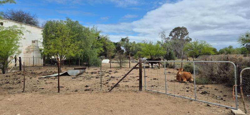 6 Bedroom Property for Sale in Barrydale Western Cape